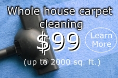 Carpet cleaning Brandon